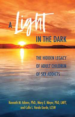 A Light in the Dark Book Cover